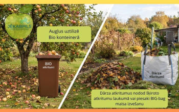 BIO arkritumi