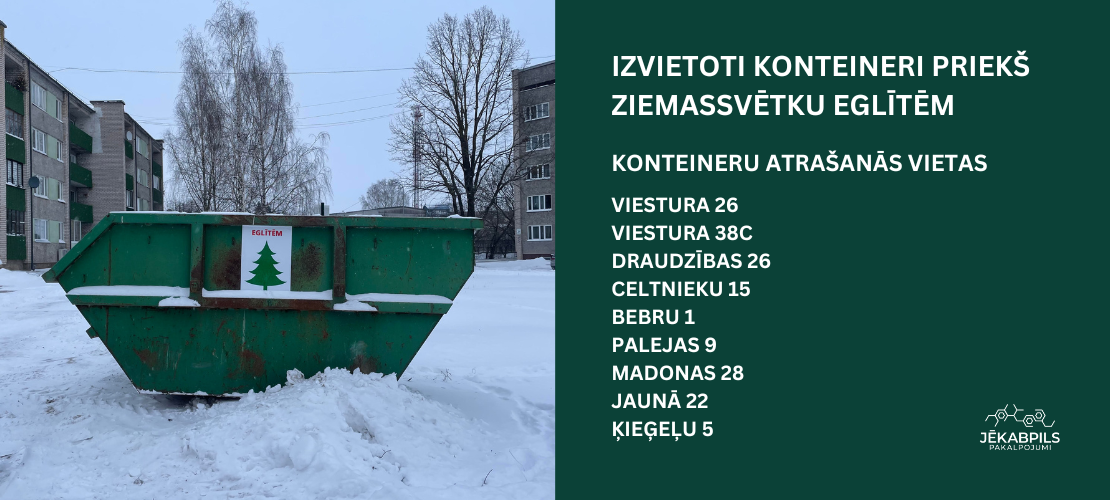 Kā pareizi atbrīvoties no Ziemassvētku eglītēm