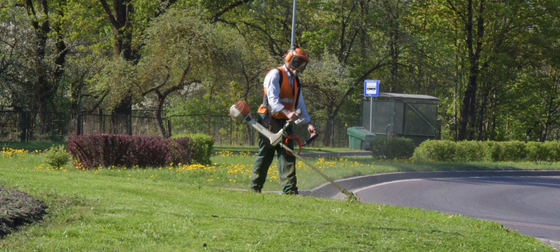 2018. gadā SIA “Jēkabpils pakalpojumi” noslēguši līgumu ar Jēkabpils pilsētas pašvaldību par zāles pļaušanu